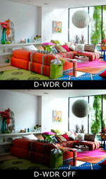D-WDR.jpg